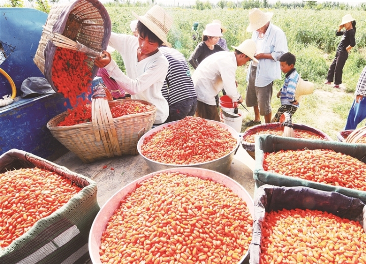 1753321814856326.jpg a8e6db4e50ba2f257a29f5232ea4cbf8_auto-orient,1.jpg