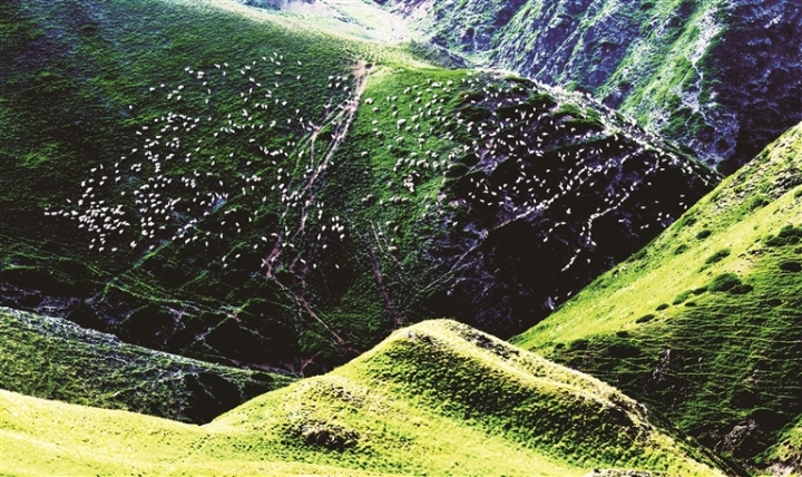 1753321855470353.jpg d8f96bd83f94a3c7e59fcb896c3fc8c3_auto-orient,1.jpg